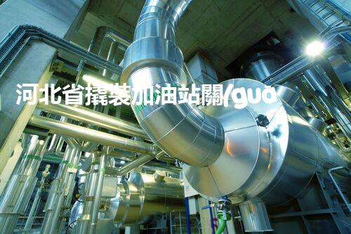 河北省撬裝加油站關(guān)鍵技術(shù)突破！化工廠拆除工程的新方法探索？